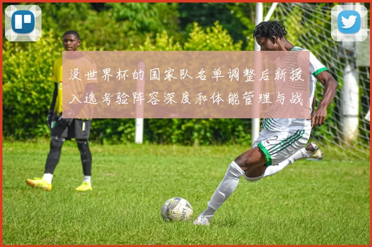 没世界杯的国家队名单调整后新援入选考验阵容深度和体能管理与战术磨合