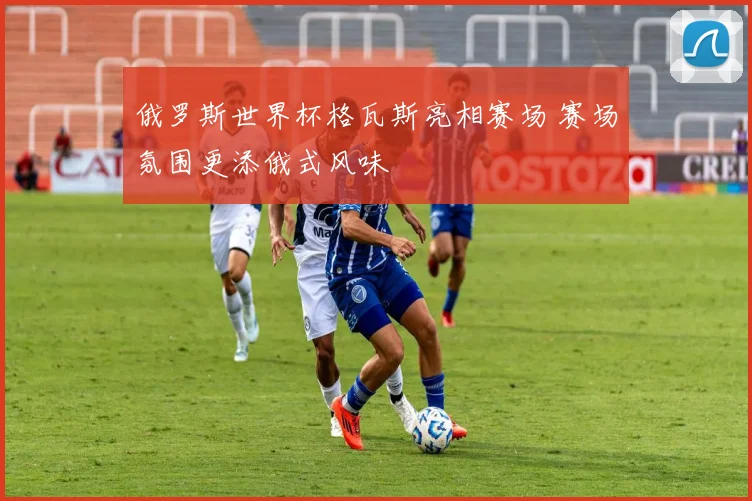 俄罗斯世界杯格瓦斯亮相赛场 赛场氛围更添俄式风味