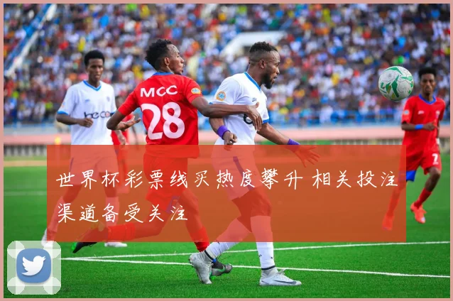 世界杯彩票线买热度攀升 相关投注渠道备受关注