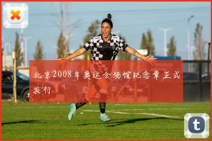 北京2008年奥运会场馆纪念章正式发行