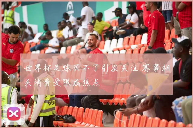 世界杯足球买不了引发关注 赛事相关消费受限成焦点