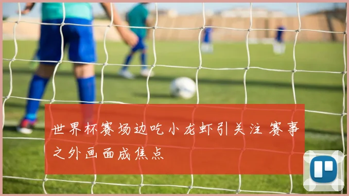 世界杯赛场边吃小龙虾引关注 赛事之外画面成焦点
