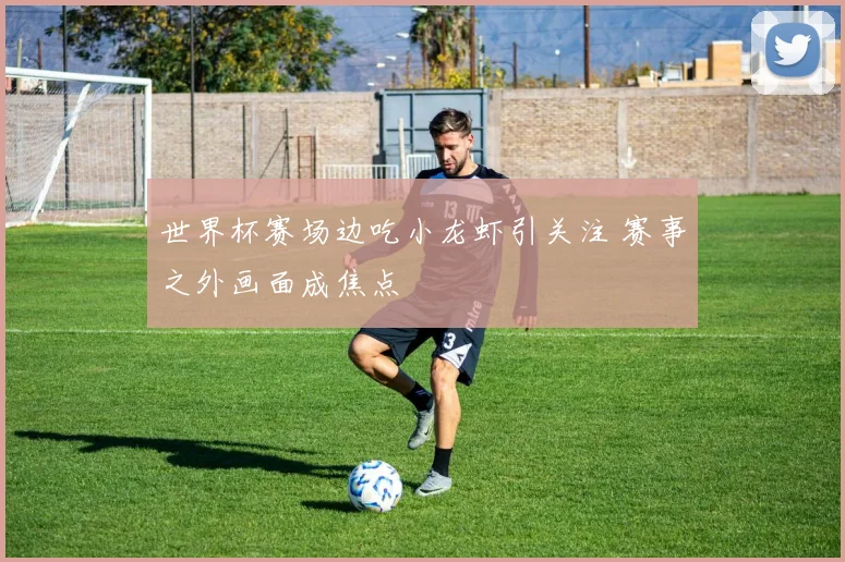 世界杯赛场边吃小龙虾引关注 赛事之外画面成焦点