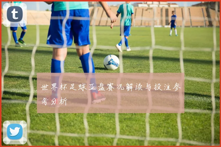 世界杯足球亚盘赛况解读与投注参考分析